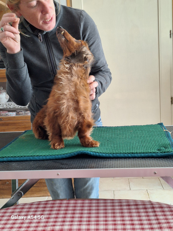 [Image: 20240702-155947.jpg]