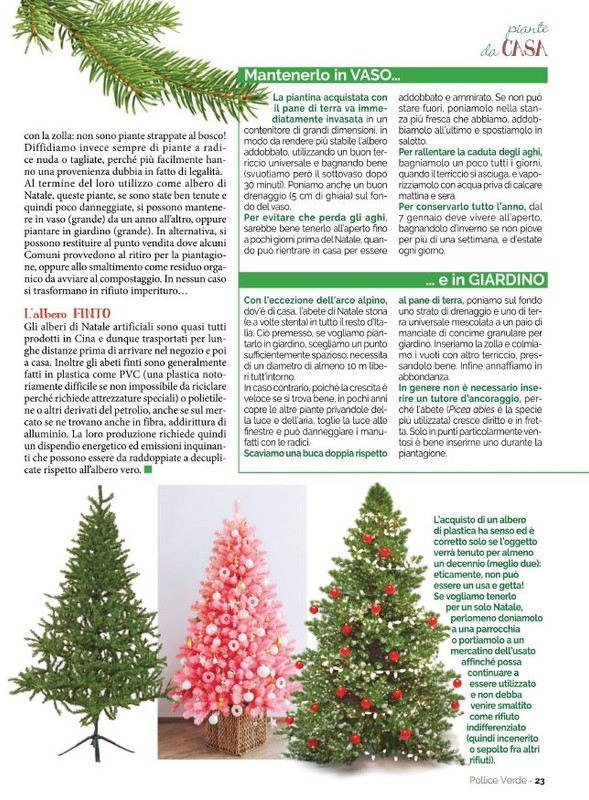 Pol Ver Nov-Dic 2021 (6)