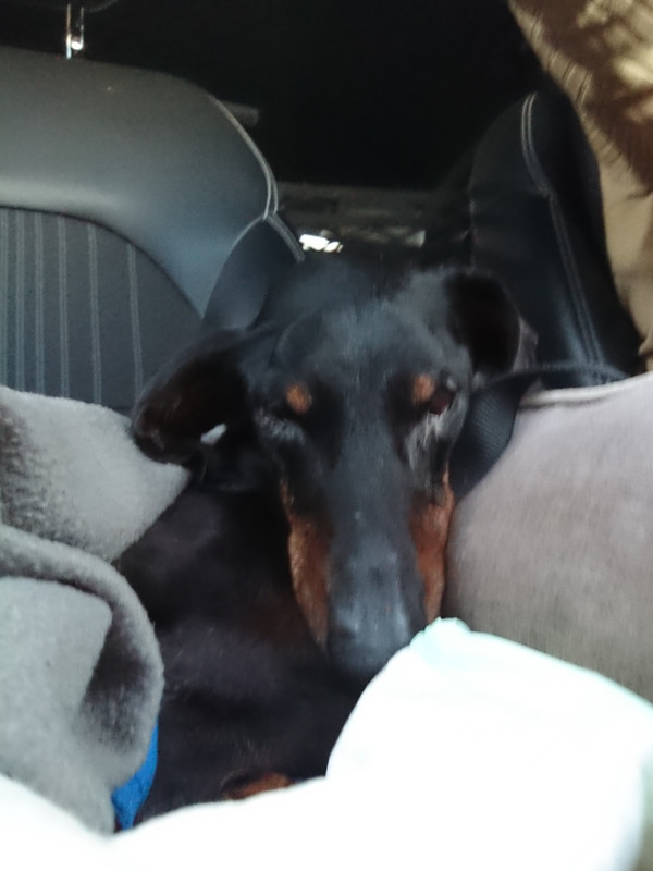 [Image: DSC-1078.jpg]