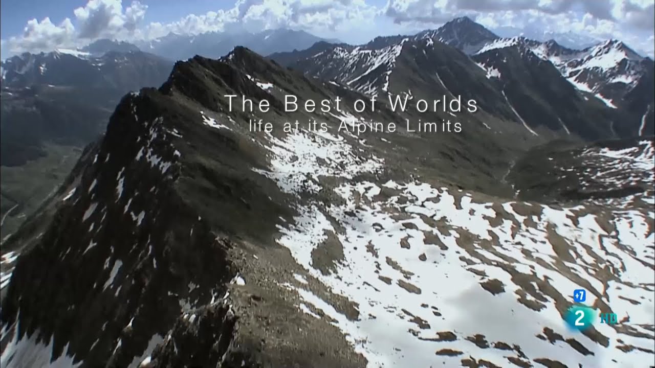 maxresdefault - El Mejor de Los Mundos: La Vida en las Cumbres Alpinas