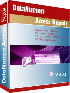 DataNumen Access Repair v3.0.0.0 DataNumen Access Repair v3.0.0.0