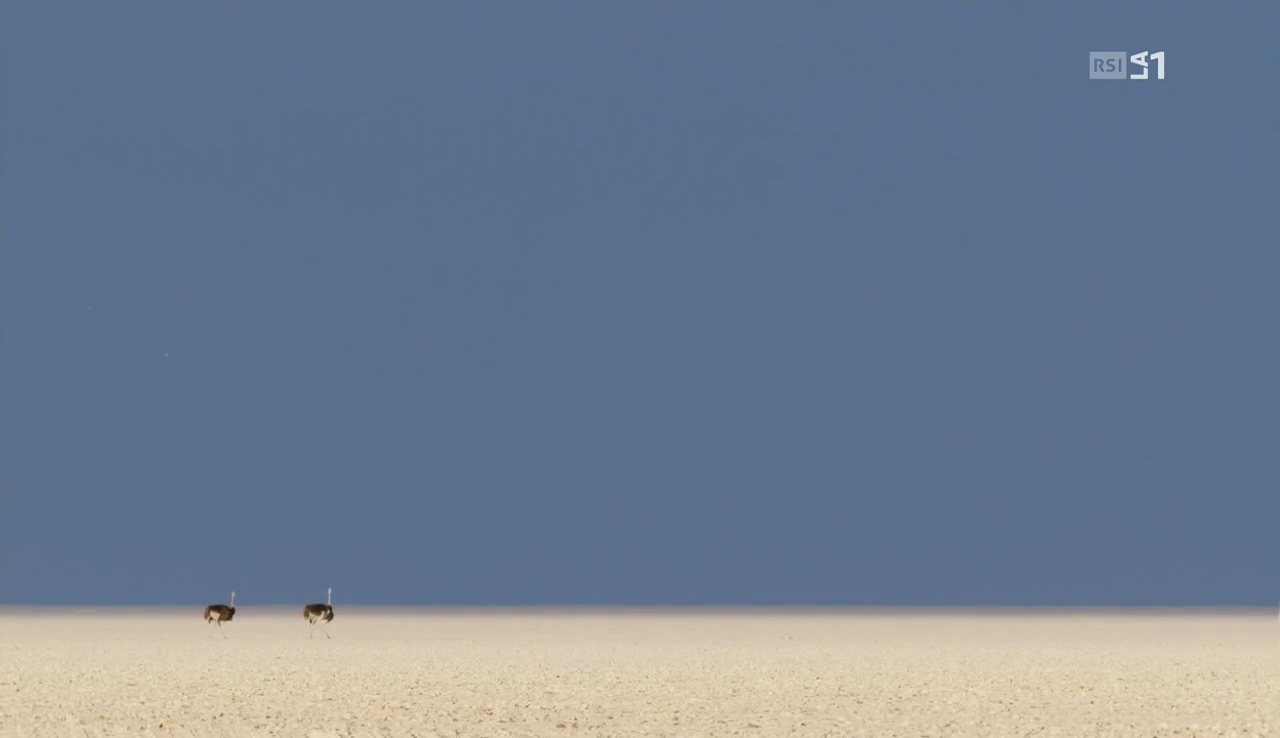 vlcsnap-2016-12-12-12h08m09s325