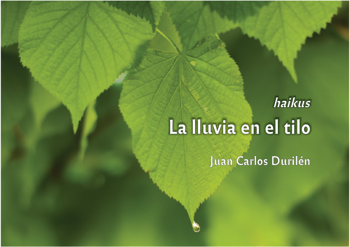 Tapa definitiva (Portada)