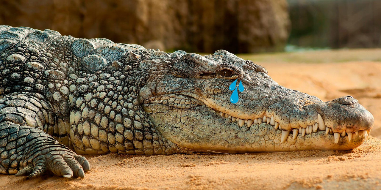 ¿De dónde surge la frase 