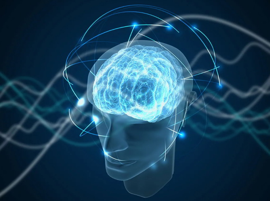 cervello quantistico