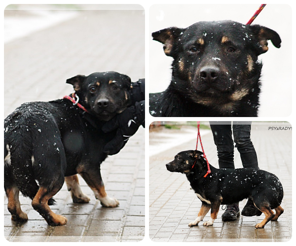 BeFunky-collage (16)