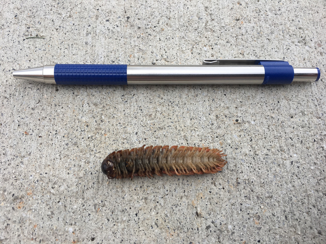 3661E620-A077-408C-9D6B-35AD705A503E