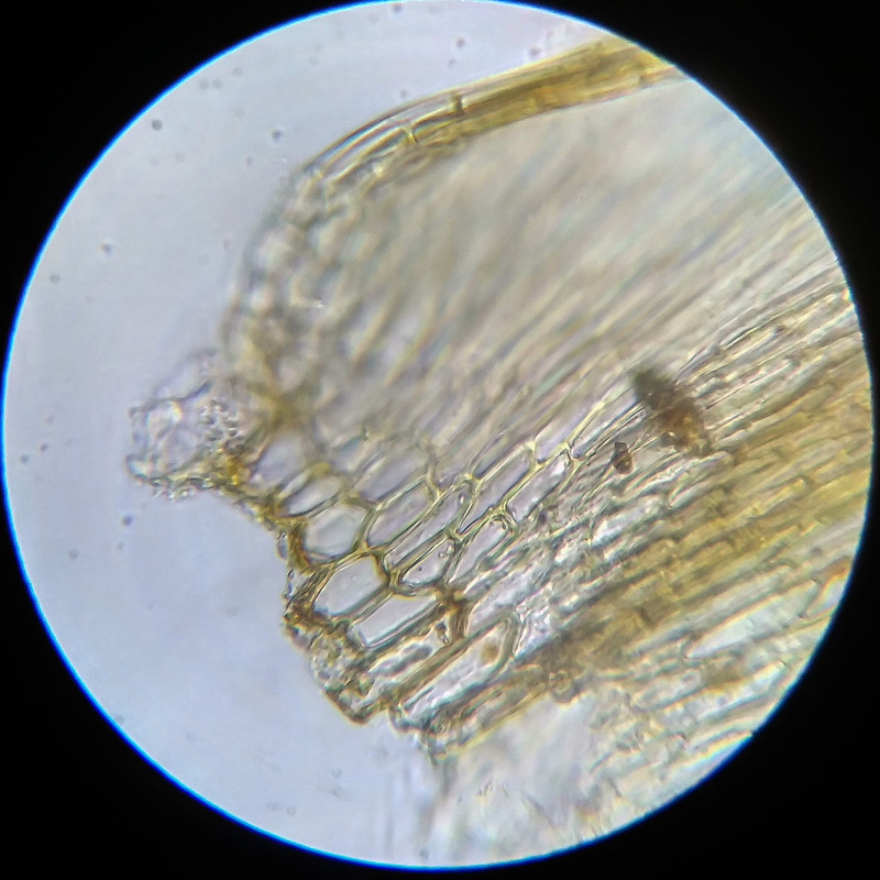 IMG 20250614 122116 HDR