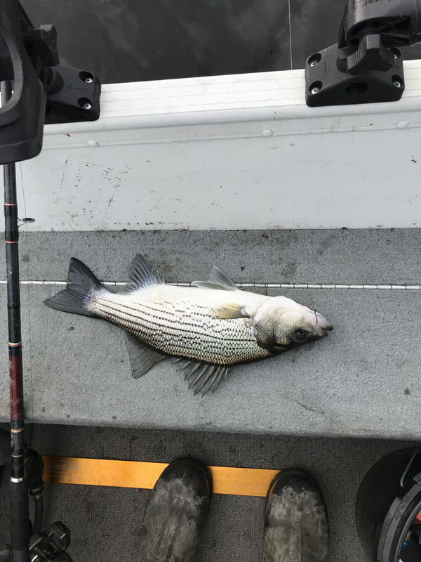 1404B514-2F49-4C69-9237-7839D3B3F925