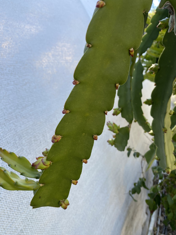 435C0F37-E9E3-433A-ABD1-3B52B8FE9F1E