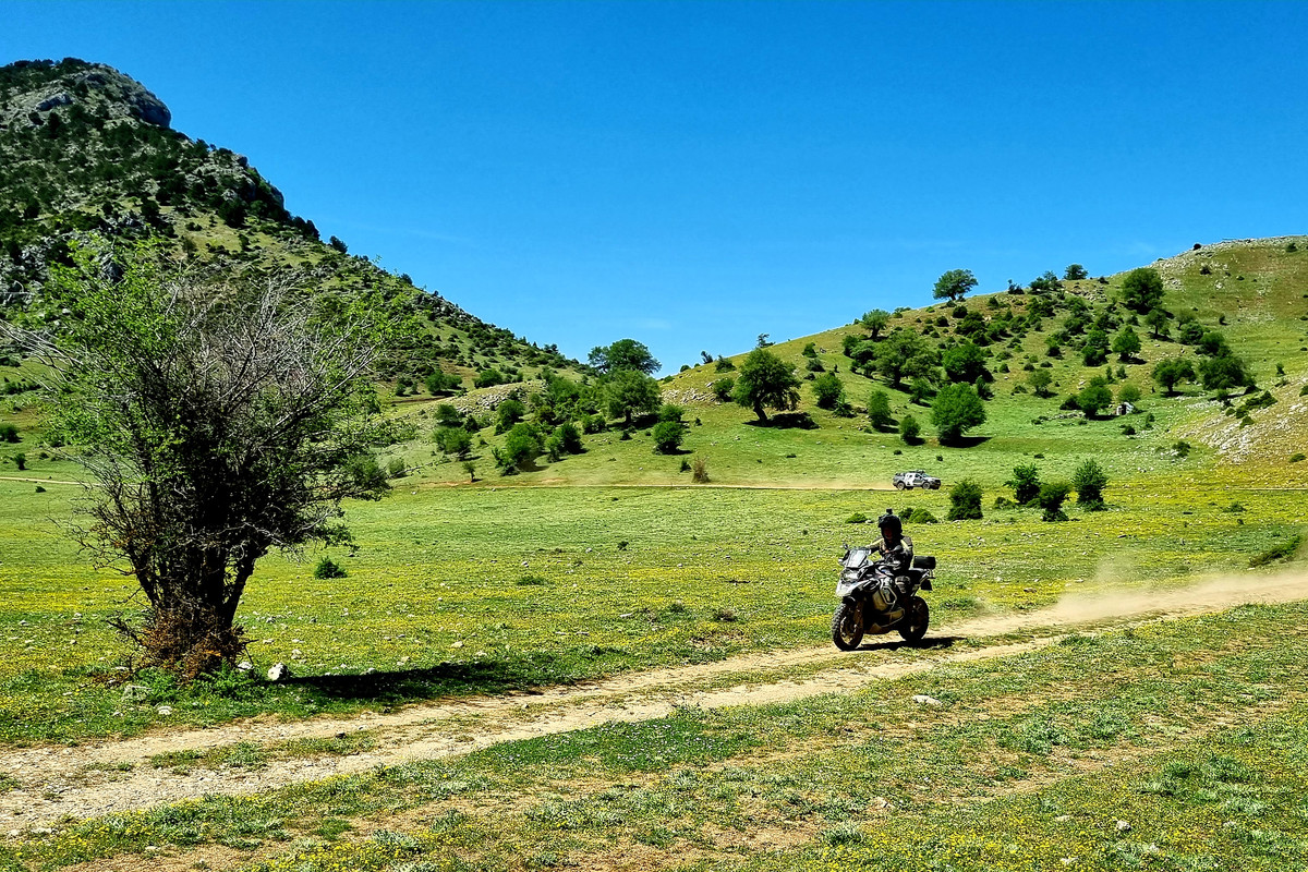 20220527_114414_evil_477b4de5