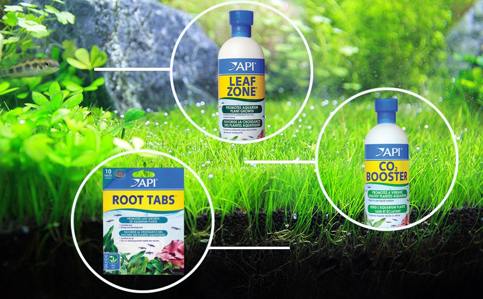Best Root Tabs for Aquarium Plants