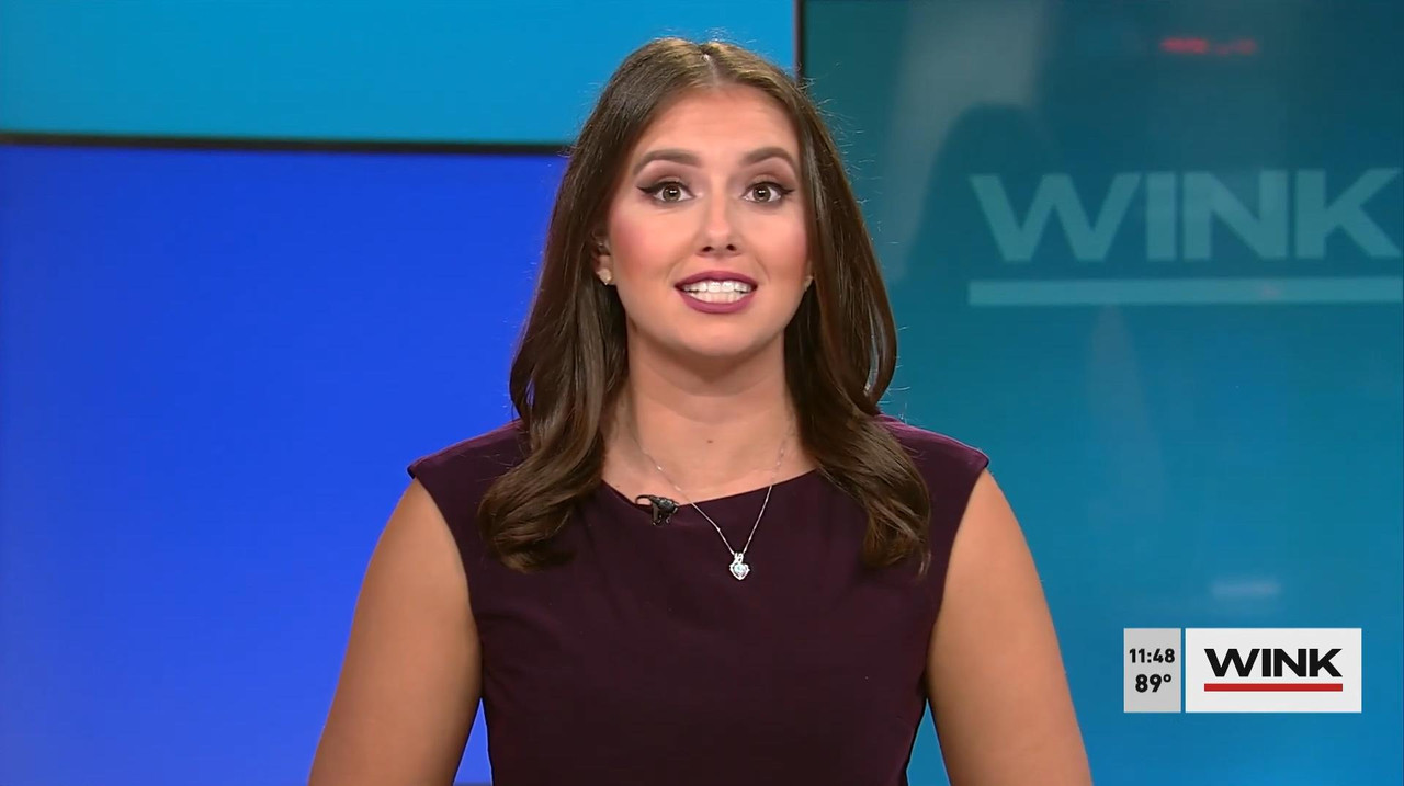 08.22 - 16.30.00 - Wink News @ 11 30Am. Local News, Sports And Weathe...-1.m4v_snapshot_18.14_[2021.