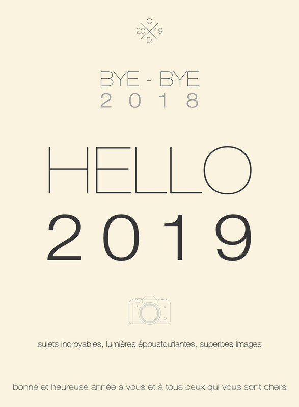 Vœux 19