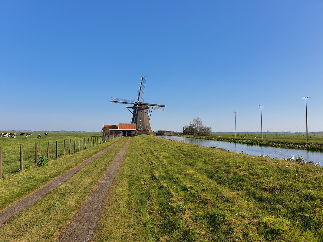 Pieter Zuijkerbuijk, De Dikke Molen 05 Alphen aan den Rijn 05-04-2020
