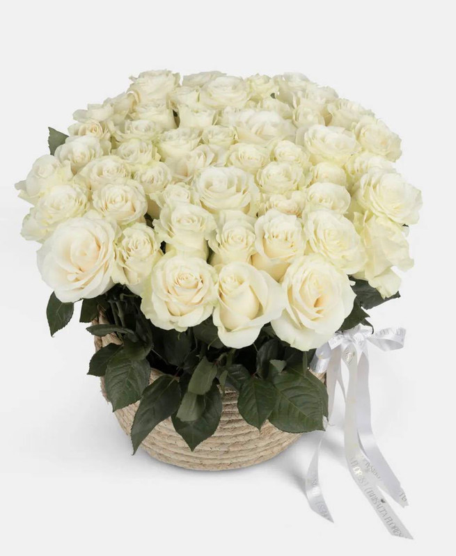 Rosas Blancas