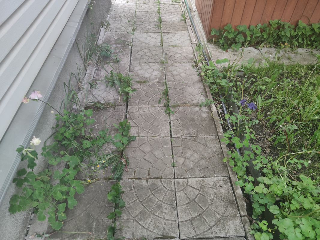 IMG-20220606-175327.jpg