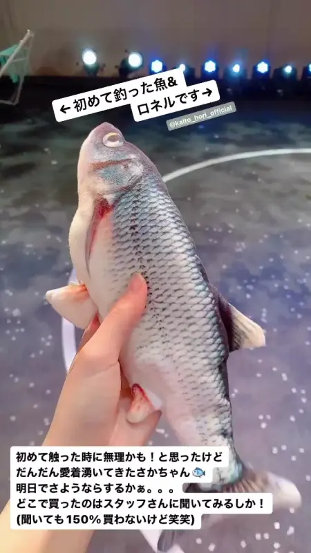 084ADF6CE7E85F92F699D4B8E469709A_video_dashinit