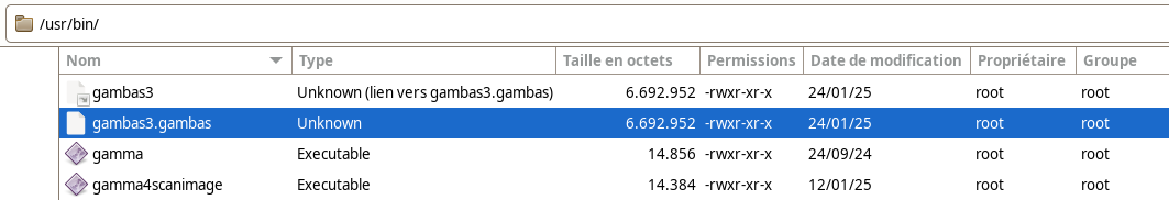 Capture d’écran gambas
