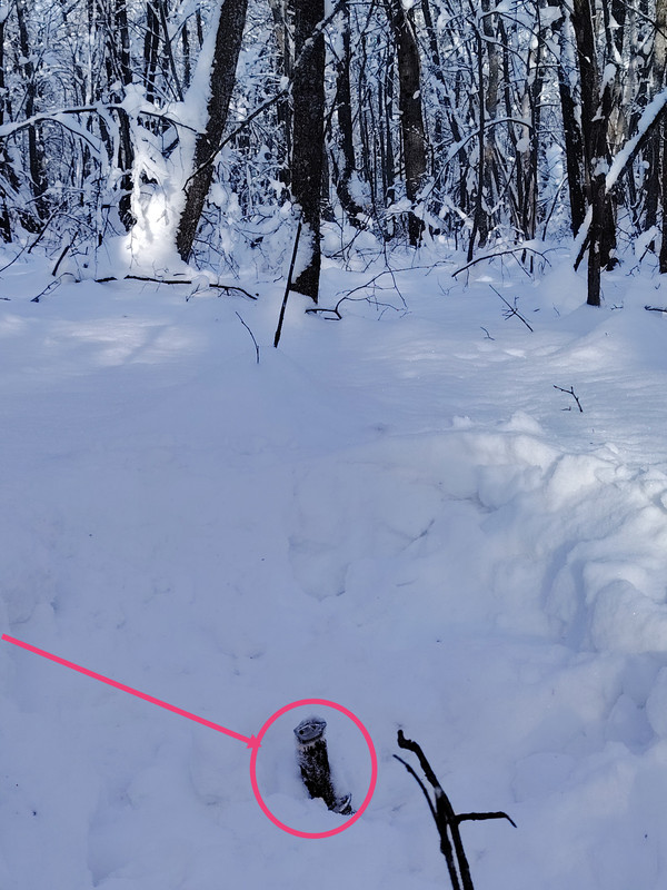 IMG 20260122 130244 edit 44151804692375