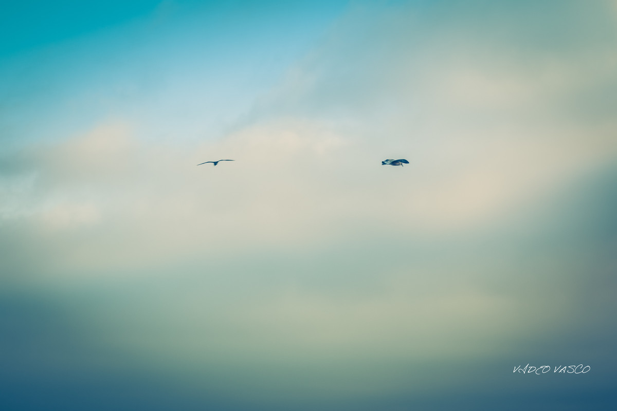 HIve-Boca-Inferno-1-11.jpg