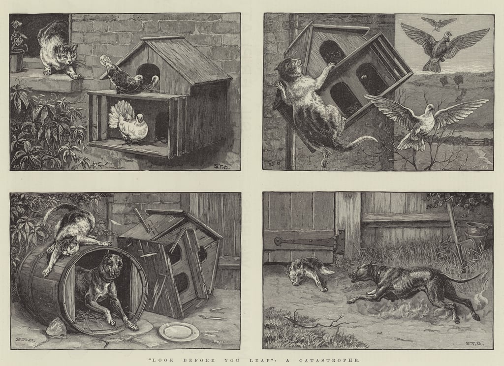 ST-Dadd-Look-before-you-Leap-a-Catastrophe-Meister-Drucke-310009