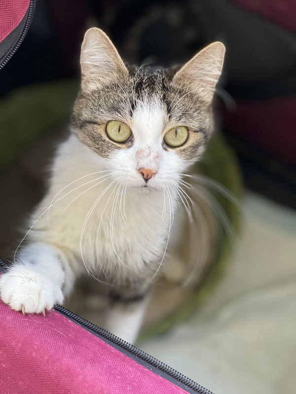 18AB5130-ED3B-4100-ACE0-3CFF751EC5AC