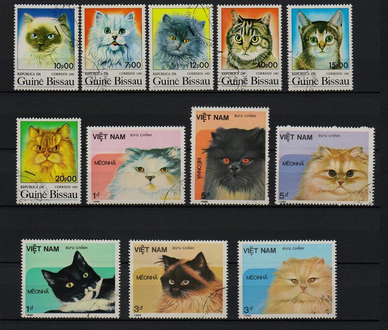 80