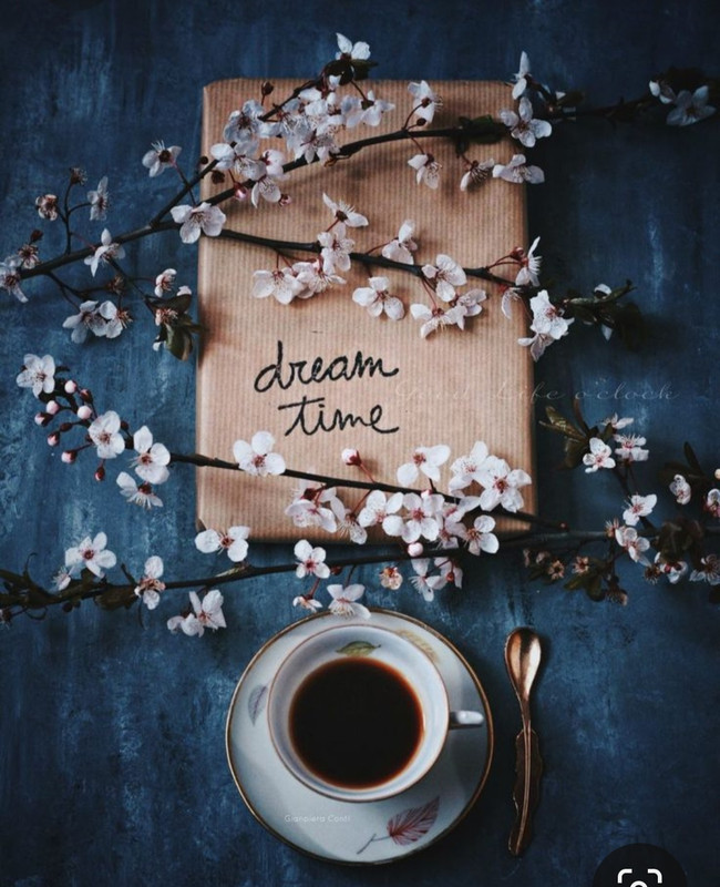 Screenshot_20230616_131309_Pinterest