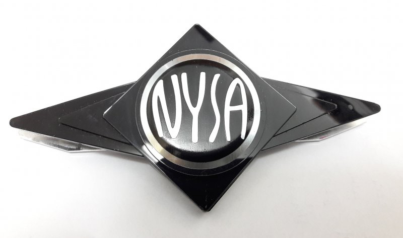 logo nysa
