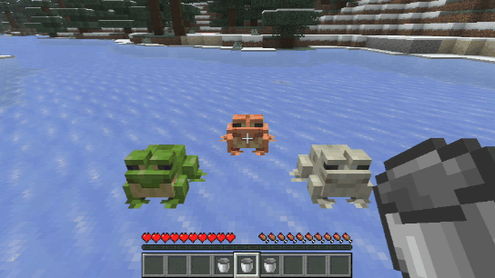 The player collects frogs using an empty bucket