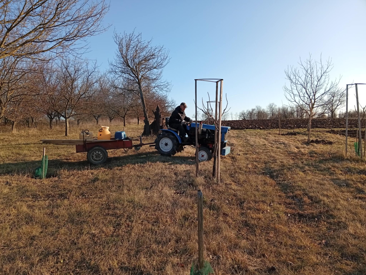 fc8b216d c7d7 4d62 b9dd 34660f573488