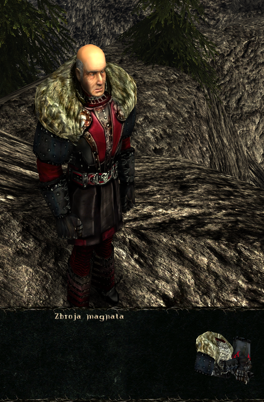 pancerze i ubrania (20)