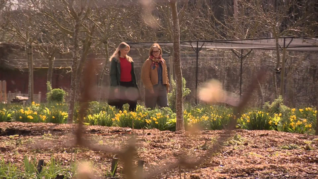 BBC London News_20240305_18301900.ts_snapshot_25.18.828