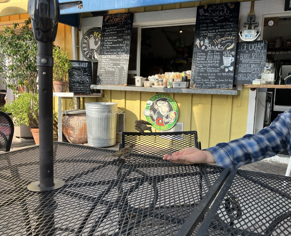 6AB4F0F0-E074-4CF9-BCCC-7AFE9D4A29AA