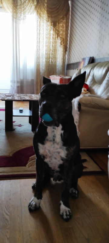 77B8371B-2FEC-4D1F-998E-80BFA6707DED