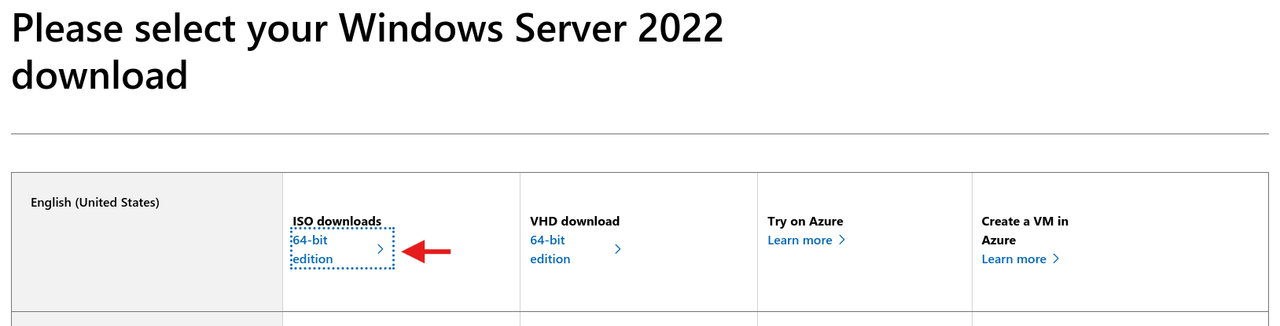 Windows Server language and 64-bit