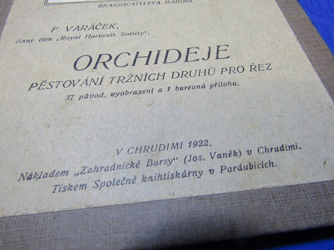 IMG 1832 — Postimages