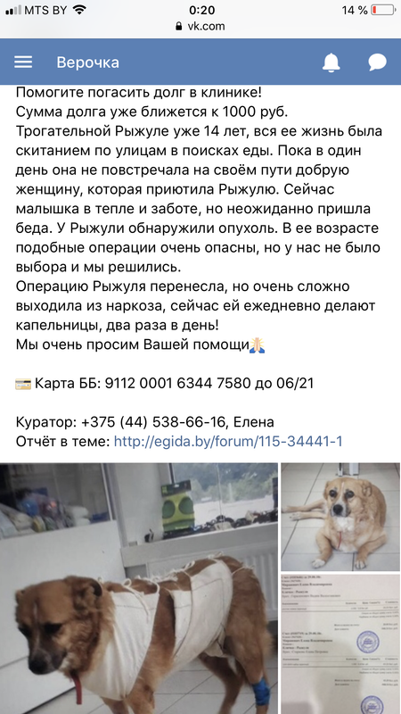 E49E850A-2726-4CFB-8A6B-3EA667F053BB