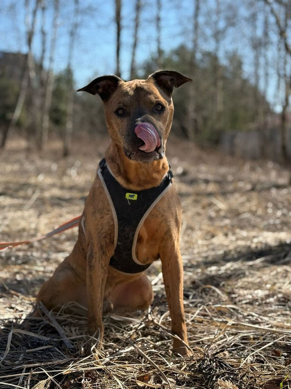 WhatsApp Image 2025-06-20 at 00.22.43 (2)