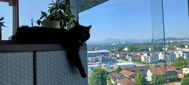 Slika