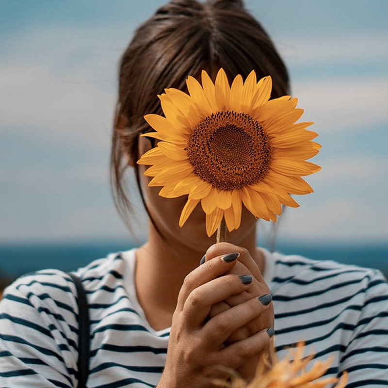 Significado de que te regalen un girasol