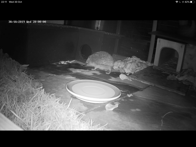 A41D7C1F-FF15-4B98-B4CD-7EFED844E3C3