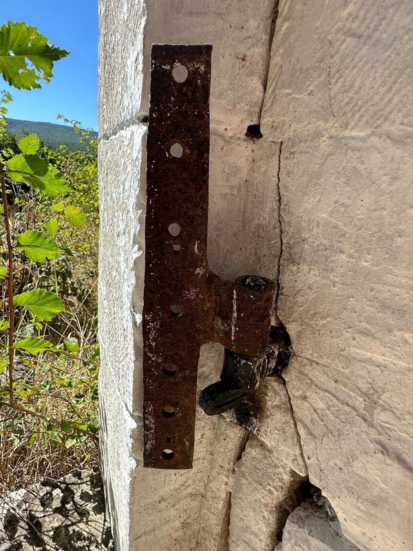 Без названия (1)