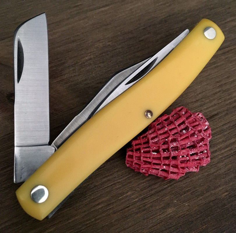 49C2CAE6-494F-4371-9D37-7A012EC689F3