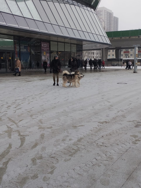 WhatsApp Image 2023-02-19 at 12.13.19 (1)