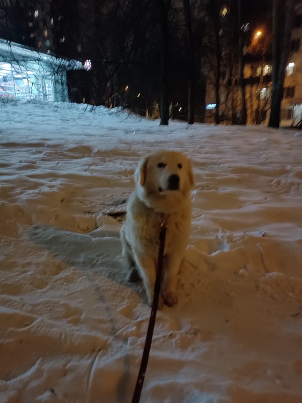 F371FFBD-A4A6-46C8-873B-6E618A39720B