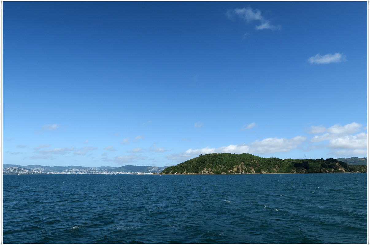 Escapadas y rutas por la Nueva Zelanda menos conocida - Blogs de Nueva Zelanda - Wellington más allá del Te Papa y el Cable Car (33)