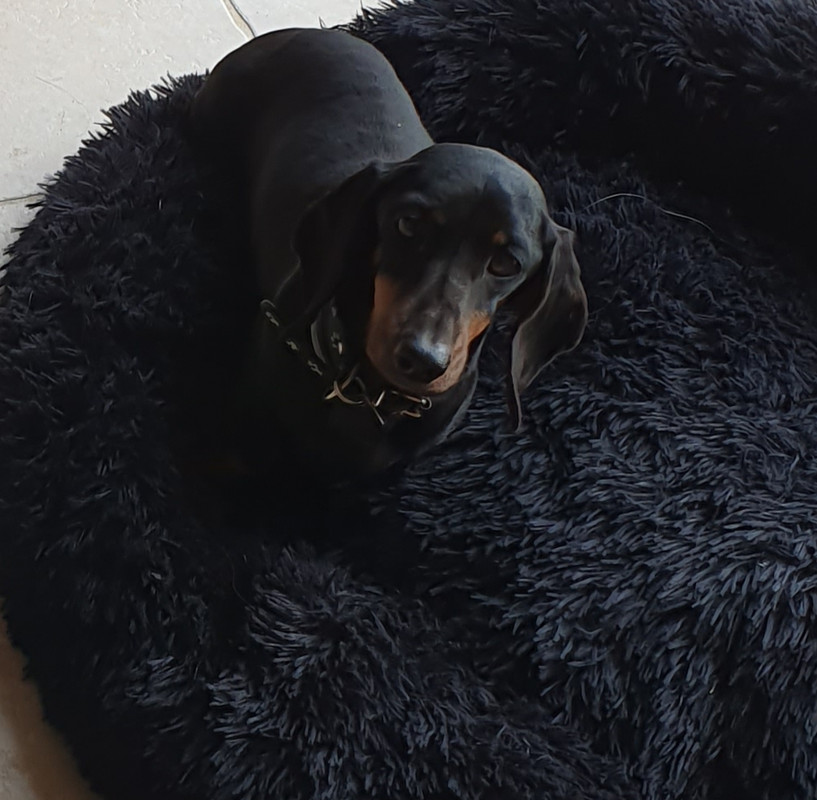 [Image: 20210121-082122.jpg]