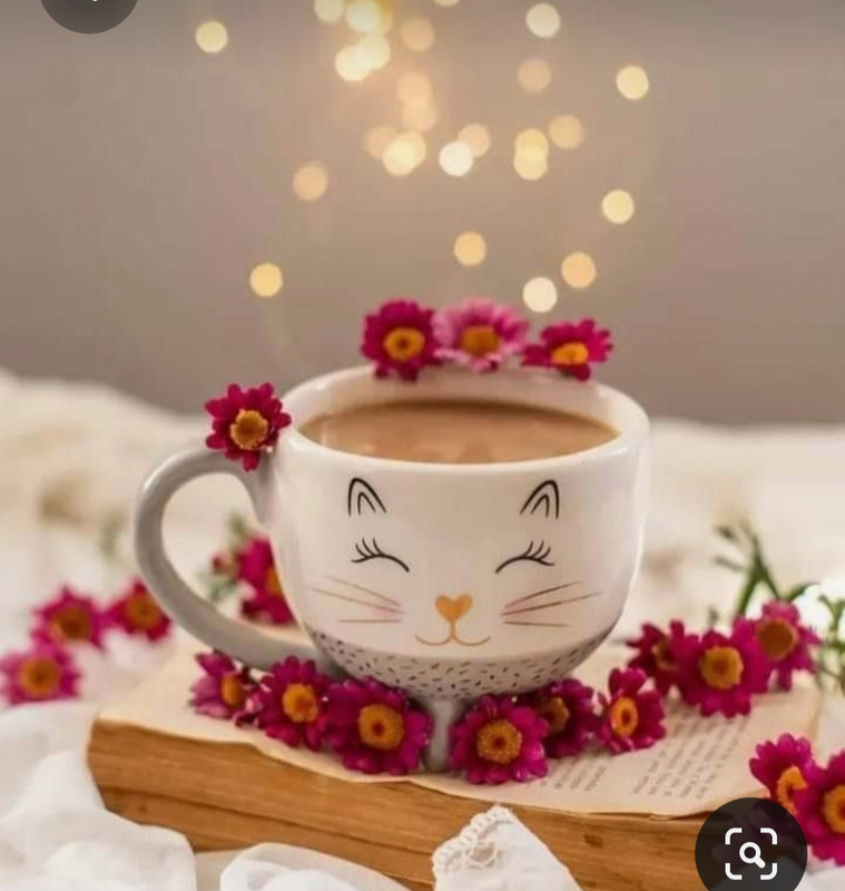 Screenshot_20230622_000353_Pinterest